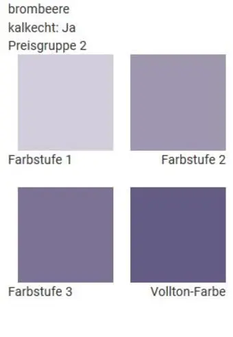 Wandfarben im Farbton brombeere